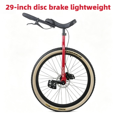 29Inch Morality Hydraulic Disc - Cycling Commute Distance recension och pris